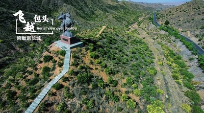 05.jpg