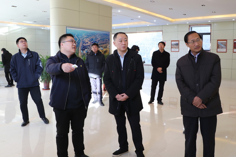包头市委常委,政府副市长杨枫一行领导莅临内蒙亚新调研